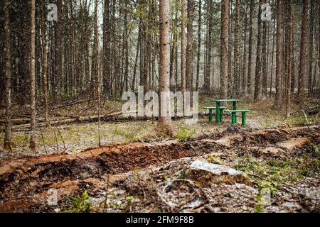 Ein Raupentraktor fährt durch eine Waldlichtung. Ein industrieller Bulldozer steckt im Schlamm fest. Lastwagen laufen im Boden Stockfoto