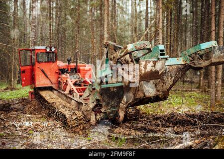 Ein Raupentraktor fährt durch eine Waldlichtung. Ein industrieller Bulldozer steckt im Schlamm fest. Lastwagen laufen im Boden Stockfoto