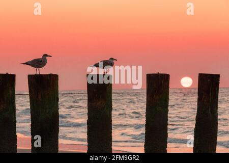 Sonnenuntergang in einer Groyne auf der Insel Wangerooge Stockfoto