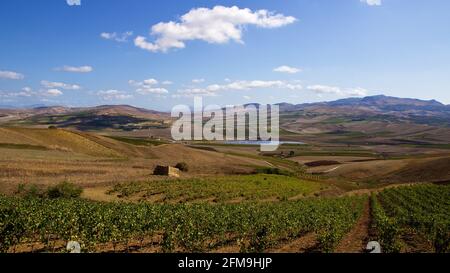 Italien, Sizilien, Wein, Weinberge, Sambuca di Sicilia, Lago Arancio, Blick vom Hügel bei Santa Margherita di Belice auf die Weinberge und den Arancio-See, trockene Felder, Hügel im Hintergrund, hellblauer Himmel, einzelne weiße Wolken, Steinschuppen Stockfoto