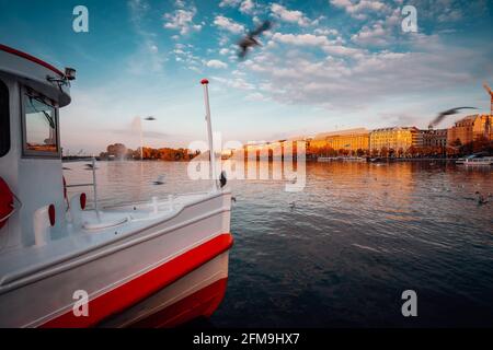 Traditionelles Dampfschiff auf der Alster im Vordergrund. Goldenes Herbstlicht bei Sonnenuntergang. Möwen kreisen über Wasser. Hamburg, Deutschland. Stockfoto