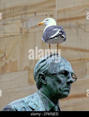 Glasgow, Schottland, Großbritannien. Mai 2021. Wetter in Großbritannien: Bei einer sonnigen Lockerung der Sperre gab es viel zu tun, da die Menschen alleine wanderten und sich viel hinsetzten. Die gordon-Dewar-Statue steht kurz vor dem Entstehen, was ihm am Tag der Bekanntgabe der Wahlergebnisse kommt, und zeigt den Niedergang der Arbeiterpartei. Quelle: Gerard Ferry/Alamy Live News Stockfoto