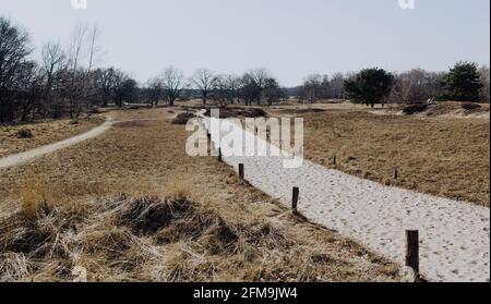 Spazierweg gedacht Boberger Dünen Landschaft im Naturschutzgebiet Boberger Niederung in Hamburg Deutschland. Stockfoto