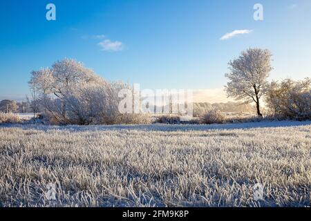 Sonnenaufgang in Wiesmoor, Eastfrisa an einem kalten Wintermorgen mit Schnee und einem bunten Sonnenaufgang. Stockfoto