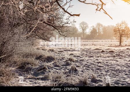 Sonnenaufgang in Wiesmoor, Eastfrisa an einem kalten Wintermorgen mit Schnee und einem bunten Sonnenaufgang. Stockfoto