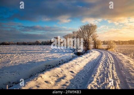 Sonnenaufgang in Wiesmoor, Eastfrisa an einem kalten Wintermorgen mit Schnee und einem bunten Sonnenaufgang. Stockfoto