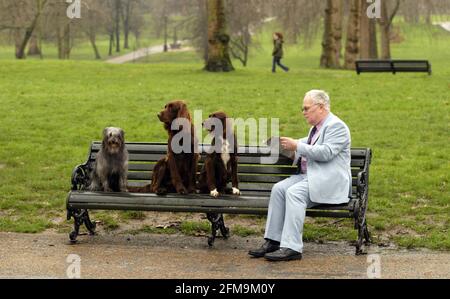 DER NATIONALE START VON CRUFTS 2007 findet vom 8. Bis 11. März im NEC Birmingham statt. Fotoanruf im Green Park in London. Katie (Pyrean Sheepdog) Bourdon und Eris (deutscher langhaariger Zeiger) warten vor den Kameras auf ihre Wendung. Bild David Sandison Stockfoto