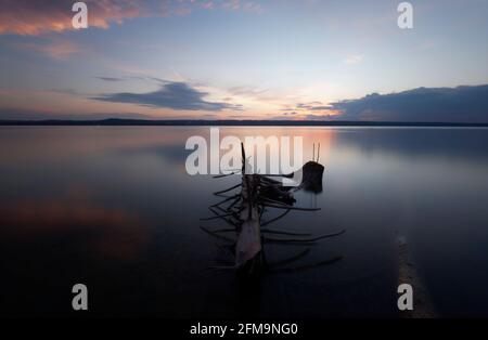 Treibholz am Ostufer des Ammersee, Oberbayern, Fünfseenland Stockfoto