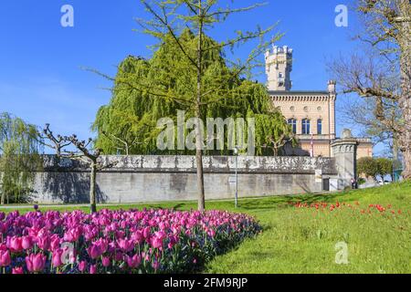 Schloss Montfort am Bodensee, Langenargen, Schwäbischer Bodensee, Baden-Württemberg, Süddeutschland, Deutschland, Europa Stockfoto