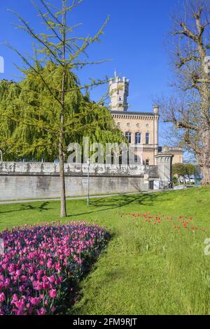 Schloss Montfort am Bodensee, Langenargen, Schwäbischer Bodensee, Baden-Württemberg, Süddeutschland, Deutschland, Europa Stockfoto