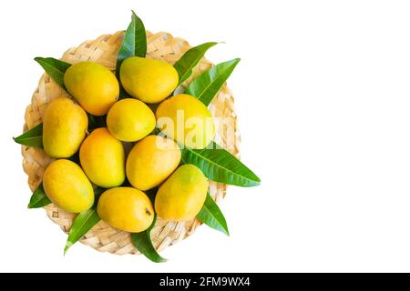 Mangos der sorte alphonso reifen vollständig mit gelb-orangen Farben, die auf das hölzerne Bambusgewebe mit Mangoblättern in kreisförmiger Anordnung gelegt werden. Stockfoto