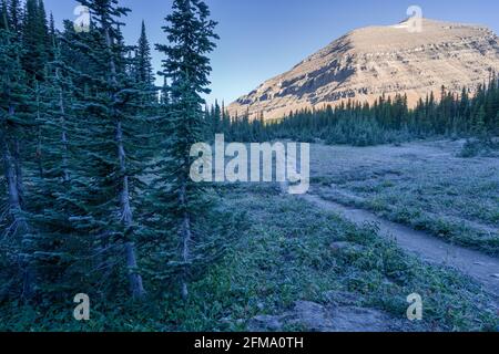 Die Morgensonne leuchtet auf einem Gipfel, während die Wiesen noch im Schatten liegen. Kalter, sonniger Morgen im Glacier National Park, Montana. Wandern auf dem Siyeh Pass Trail Stockfoto
