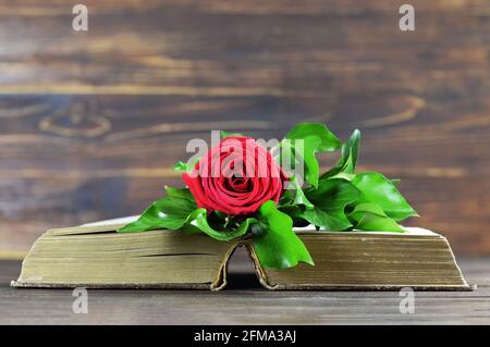 Sympathiekarte mit roter Rose auf offenem Buch Stockfoto