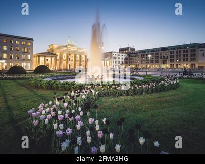 Frühling am Brunnen des Pariser Platzes mit Brandenburger Tor am Abend in Berlin. Stockfoto