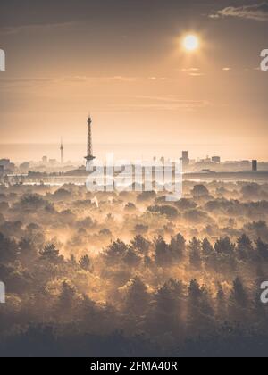 Sonnenaufgang im Herbst über dem nebligen Grunewald mit Blick auf den Funkturm und den Fernsehturm in Berlin. Stockfoto