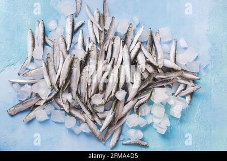 Gefrorene Sprossen auf Eis auf blauem Hintergrund. Gefrorene ganze Fische übereinander gestapelt sitzen unter und auf Eis. Draufsicht, Leerraum Stockfoto