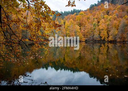 Yedigoller in der Türkei bietet mit seiner lebendigen und faszinierenden Natur eine atemberaubende Aussicht. Herbstlaub auf einem See mit dem Spiegelbild der Bäume daneben Stockfoto