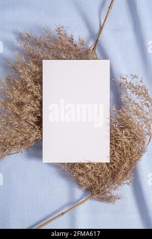 Weißer, leerer Papierkartenmockup mit Pampas, trockenem Gras Blau neutral gefärbtes Textil Stockfoto