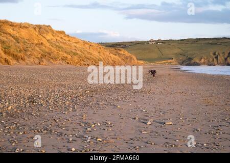 Sonnenuntergang, Sonnenuntergang, Sonne, at, Port Neigwl, Porth Neigwl Beach, auch bekannt als, aka, Hell's Mouth, dramatisch, Wolke, Wolken, auf, beliebt, Surfen, Surfen, Strand, Meer, Meer, Dorf, Westen, Mitte, Nordwales,, County, Welsh Sommerurlaub, Aufenthalt, Resort.Vereinigtes Königreich, GB, Europa.Porth Neigwl, auch bekannt in Englisch, als "3 breite Küste von Wales, Llŷn Meilen auf der Halbinsel. Die Bucht liegt südwestlich und liegt zwischen den Landzungen von Mynydd Rhiw im Westen und Mynydd Cilan im Osten Stockfoto