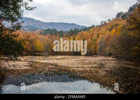 Yedigoller in der Türkei bietet mit seiner lebendigen und faszinierenden Natur eine atemberaubende Aussicht. Herbstlaub auf einem See mit dem Spiegelbild der Bäume daneben Stockfoto