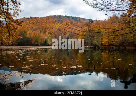 Yedigoller in der Türkei bietet mit seiner lebendigen und faszinierenden Natur eine atemberaubende Aussicht. Herbstlaub auf einem See mit dem Spiegelbild der Bäume daneben Stockfoto