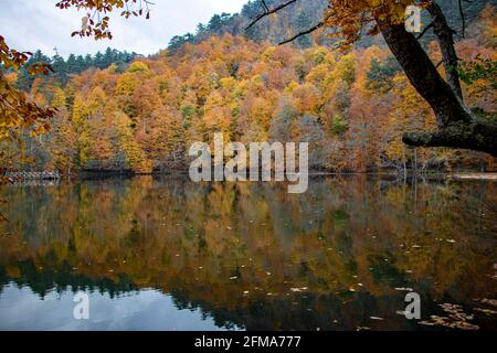 Yedigoller in der Türkei bietet mit seiner lebendigen und faszinierenden Natur eine atemberaubende Aussicht. Herbstlaub auf einem See mit dem Spiegelbild der Bäume daneben Stockfoto