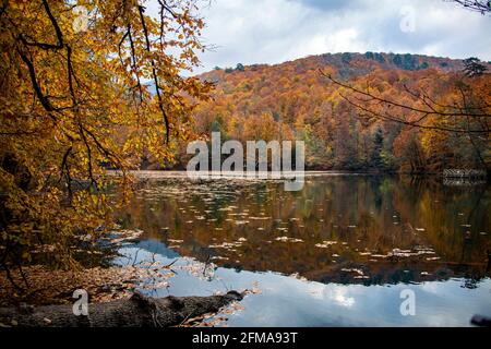 Yedigoller in der Türkei bietet mit seiner lebendigen und faszinierenden Natur eine atemberaubende Aussicht. Herbstlaub auf einem See mit dem Spiegelbild der Bäume daneben Stockfoto