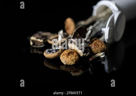 Psilocybin-Pilze in der medizinischen Flasche, die für die Therapie verwendet wird. Stockfoto