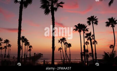 Palmen Silhouette am Dämmerungshimmel, Kalifornien USA, Oceanside Pier. Dämmerung strahlende Nachtstimmung. Tropischer pazifischer Ozeanstrand, Sonnenuntergang nach dem Aufleuchten ästhetisch. Dunkelschwarze Palme, Los Angeles Vibes. Stockfoto