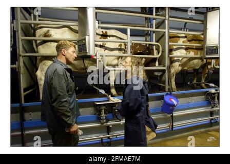 Deborah Ross verbringt den Tag damit, auf der Farm des Prinzen von Wales zu arbeiten: Duchy Home Farm, Broadfield Farm, Tetbury.pic David Sandison 11/10/2005 Stockfoto