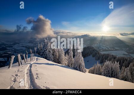 Skipiste in einer verschneiten Winterlandschaft an einem sonnigen späten Nachmittag auf den Grünten. Allgäuer Alpen, Bayern, Deutschland, Europa Stockfoto