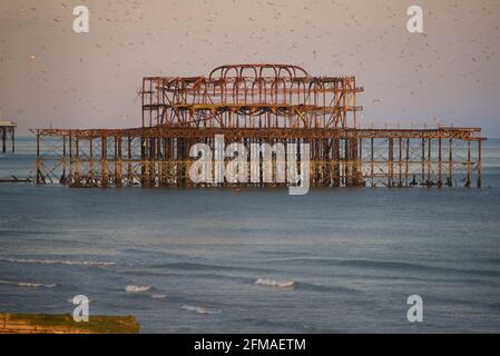 Die rostigen Überreste von Brighton's verfallenen West Pier am späten Nachmittag, umgeben von Möwen. Brighton & Hove, Sussex, England, Großbritannien Stockfoto