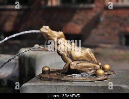 Frosch im Brunnen (Pomnik Raftsman flisaka) in Torun. Polen Stockfoto