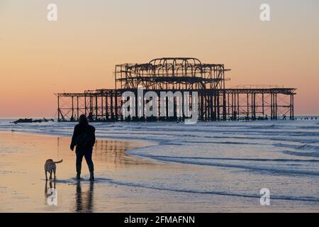 Mit dem Hund bei Ebbe am Strand spazieren gehen. Die Silhouetten der Pfeiler im Hintergrund. Brighton & Hove, Sussex, England, Großbritannien Stockfoto