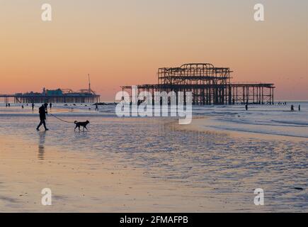 Spaziergang am Strand bei Ebbe mit einem Hund. Die Silhouetten der Pfeiler im Hintergrund. Brighton & Hove, Sussex, England, Großbritannien Stockfoto