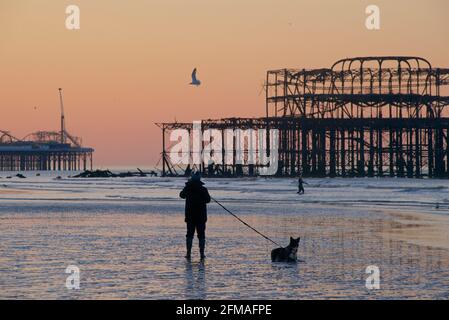 Spaziergang am Strand bei Ebbe mit einem Hund. Die Silhouetten der Pfeiler im Hintergrund. Brighton & Hove, Sussex, England, Großbritannien Stockfoto