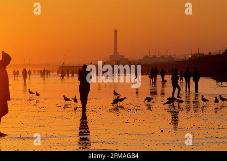 Brighton und Hove Beach bei Ebbe und Blick nach Westen. Silhouetten von Menschen, die bei Sonnenuntergang am Sandstrand entlang wandern. East Sussex, England Stockfoto