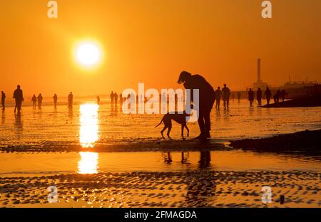 Brighton und Hove Beach bei Ebbe und Blick nach Westen. Silhouetten von Menschen, die bei Sonnenuntergang am Sandstrand entlang wandern. East Sussex, England. Hund und Besitzer an einem Pool mit Wasser. Stockfoto