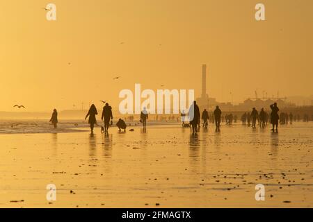 Brighton und Hove Beach bei Ebbe mit Blick nach Westen in Richtung Shoreham. Silhouetten von Menschen, die bei Sonnenuntergang am Sandstrand entlang wandern. East Sussex, England Stockfoto