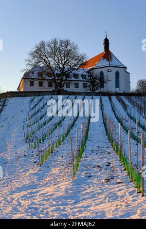 Vogelsburg und Weinberge auf der Volkacher Mainschleife im Winter, Unterfanken, Bayern, Deutschland Stockfoto