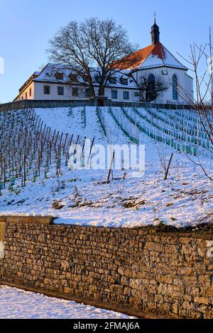 Vogelsburg und Weinberge auf der Volkacher Mainschleife im Winter, Unterfanken, Bayern, Deutschland Stockfoto