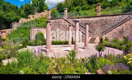 Ronkarzgarten, Garten, Burgruine Scherenburg, Sommer, Gemünden am Main, Main-Spessart, Franken, Bayern, Deutschland, Europa, Stockfoto