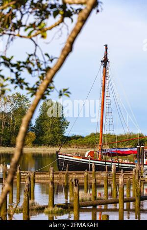 Vorwärtsbereich des Segelschiffs Providence, eingerahmt von einem Baumzweig entlang der Steveston Waterfront in British Columbia, Kanada Stockfoto