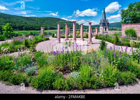 Ronkarzgarten, Garten, Burgruine Scherenburg, Sommer, Gemünden am Main, Main-Spessart, Franken, Bayern, Deutschland, Europa, Stockfoto