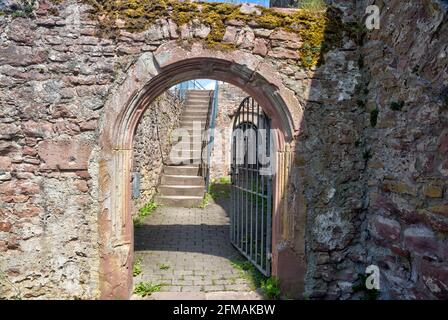 Burgruine Scherenburg, Schloss, Sommer, Gemünden am Main, Main-Spessart, Franken, Bayern, Deutschland, Europa, Stockfoto