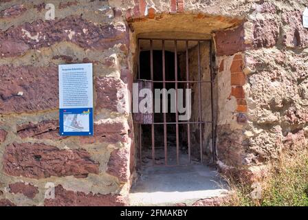 Burgruine Scherenburg, Schloss, Sommer, Gemünden am Main, Main-Spessart, Franken, Bayern, Deutschland, Europa, Stockfoto