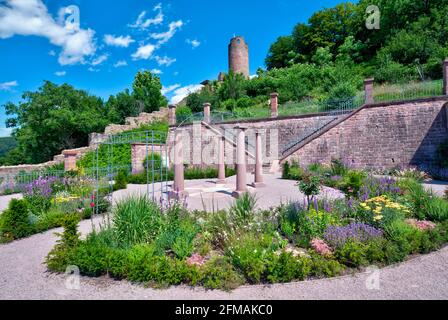 Ronkarzgarten, Garten, Burgruine Scherenburg, Sommer, Gemünden am Main, Main-Spessart, Franken, Bayern, Deutschland, Europa, Stockfoto