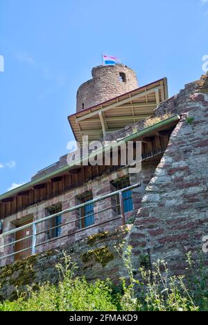 Burgruine Scherenburg, Schloss, Sommer, Gemünden am Main, Main-Spessart, Franken, Bayern, Deutschland, Europa, Stockfoto