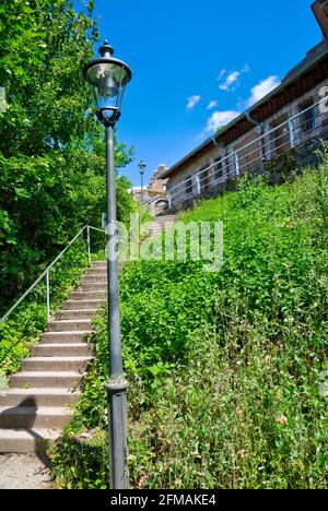 Burgruine Scherenburg, Schloss, Sommer, Gemünden am Main, Main-Spessart, Franken, Bayern, Deutschland, Europa, Stockfoto