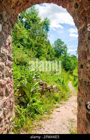 Treppe zur Ruine Scherenburg, Schloss, Weg, Sommer, Gemünden am Main, Main-Spessart, Franken, Bayern, Deutschland, Europa, Stockfoto